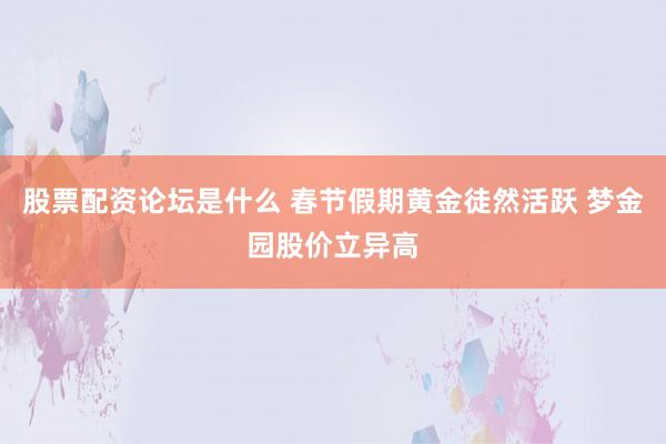 股票配资论坛是什么 春节假期黄金徒然活跃 梦金园股价立异高