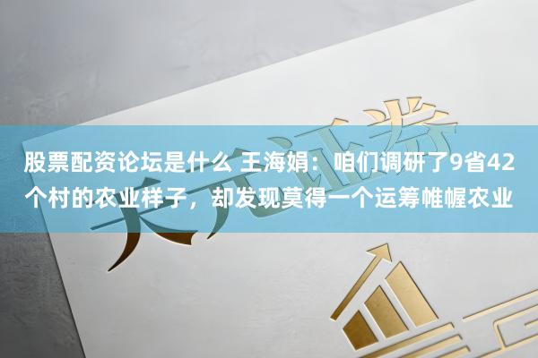 股票配资论坛是什么 王海娟：咱们调研了9省42个村的农业样子，却发现莫得一个运筹帷幄农业