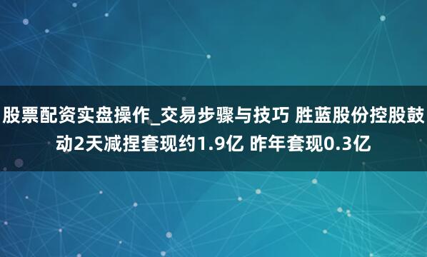 股票配资实盘操作_交易步骤与技巧 胜蓝股份控股鼓动2天减捏套现约1.9亿 昨年套现0.3亿